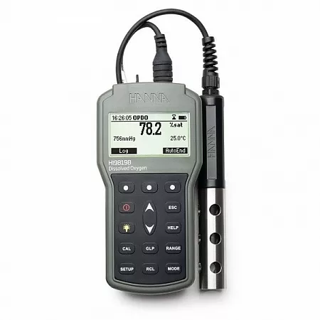 HI 98198